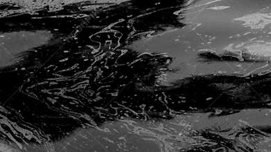 Oil pollution of the sea