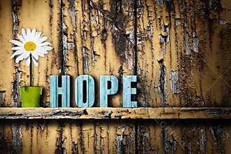 Hope text word vase with daisy on worn wooden background