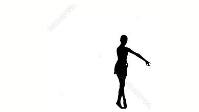 Beautiful Young ballerina girl dancer. silhouette