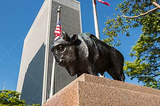 Buffalo Statue One M&T Plaza