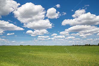 Sky clouds field