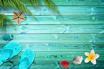 Summer background, palm trees, flip flops and sea shells