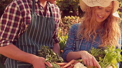 Happy couple with box of vegetables