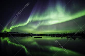 Winter Night
