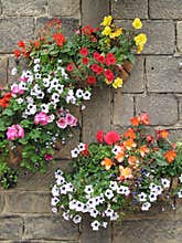 Springtime Flower Baskets
