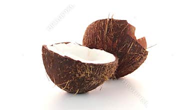 Coconut