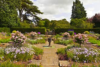 English garden in summer time.