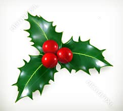Holly, Christmas decoration