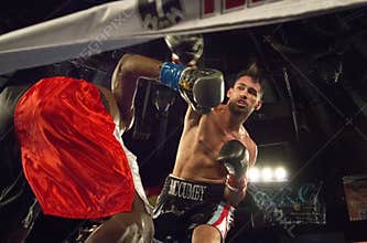 Professional Boxers In Matchup
