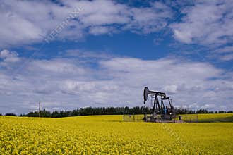 Oil well pump jack in yellow f