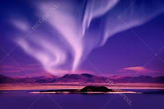 Northern Lights aurora borealis over trees