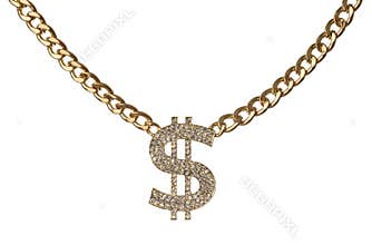 Dollar necklace