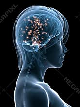 Human active brain