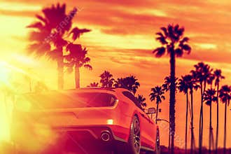 Exotic Car Palm Beach Ride