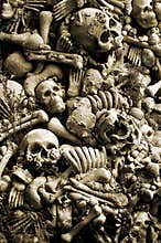 Halloween Skulls And Bones