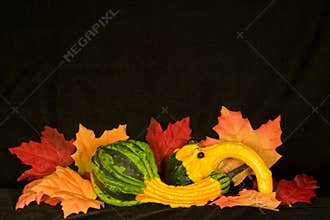 Autumn Centerpiece III