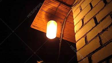 Moths flying around a light bulb