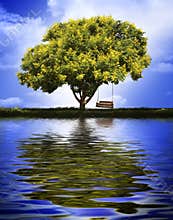 Tree with swing