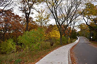 High Park in Toronto in Late Fall