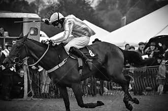 Race horse - cheering crowd