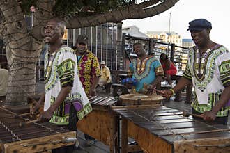 Musicians in Cape Town
