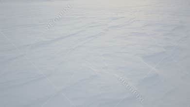 Winter wind snow field. Snowy background.