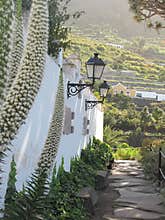 Tenerife, Canary Islands, Spain