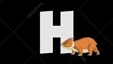 Letter H and Hamster (foreground)