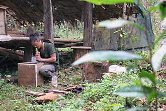 Wild honey bio cultivated in jungle - beehive maker
