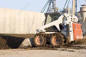 Bobcat