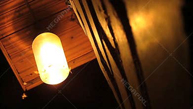 Moths flying around a light bulb