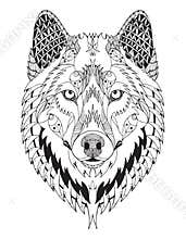 Gray wolf head zentangle stylized