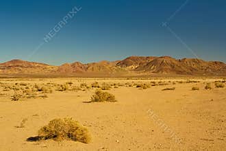 Mojave Desert