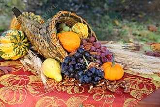 Cornucopia Harvest