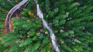 Aerial shot mountain forests