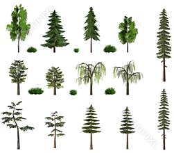 Summer trees billboard collection on white