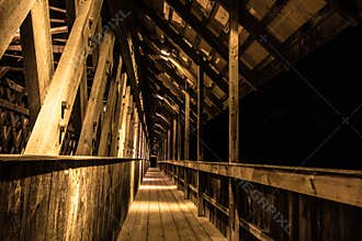 Forward Into The Darkness