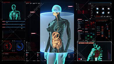 Zooming female Human body scanning internal organs, Digestion system.Blue X-ray light. on digital display user interface.