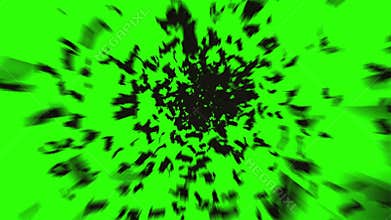 Flock of bats. flock of birds. mystical halloween concept. green screen footage.