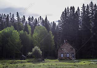 Wilderness House