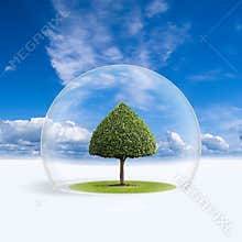 Green Tree is under the protection