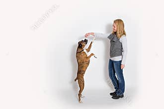 Dog sits up for a treat