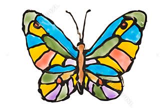 Hand painted transparent butterfly