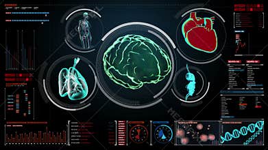 Scanning brain, heart, lungs, internal organs in digital display dashboard. X-ray view.