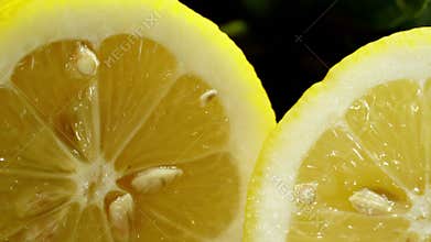 Lemon cut in half. Camera moves from left to right.