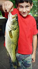 Large Mouth Bass Fish