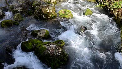 Mountain river in Abkhazia, New Athos, Caucasus.