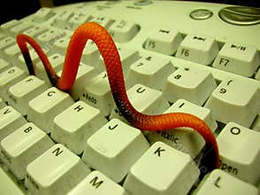 Computer Worm