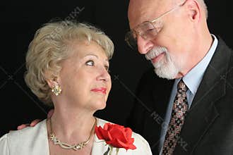 Lifetime of Love