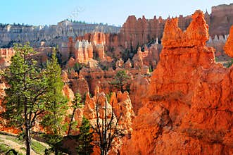 Hoodoos at Bryce Canyon, Arizona